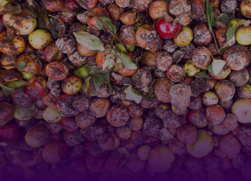 连锁门店销售成本考量问题-产量过高