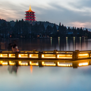 DataFocus智能搜索式BI智慧物联解决方案-智慧林业