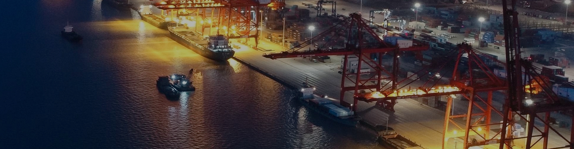 DataFocus智能搜索式BI智慧物联解决方案-智慧港口